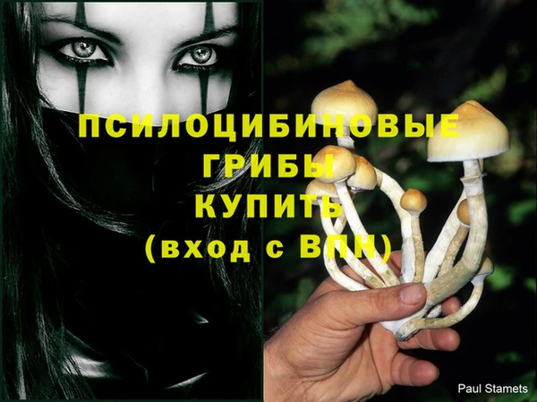 ПСИЛОЦИБИНОВЫЕ ГРИБЫ Переславль-Залесский
