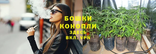стафф Пестово