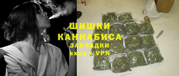 ПСИЛОЦИБИНОВЫЕ ГРИБЫ Переславль-Залесский