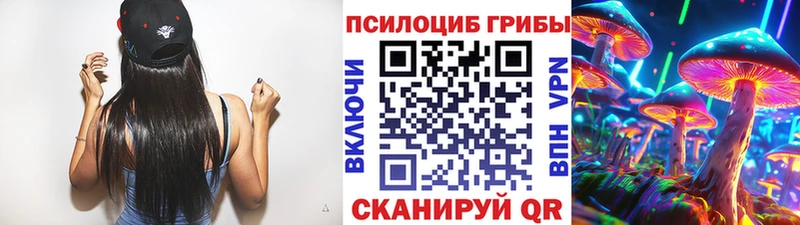 Галлюциногенные грибы Psilocybe  где продают   Ардатов 
